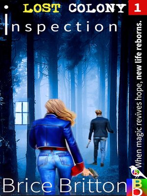 cover image of Inspection